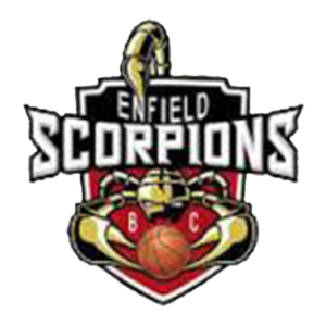 Enfield scorpions. logo