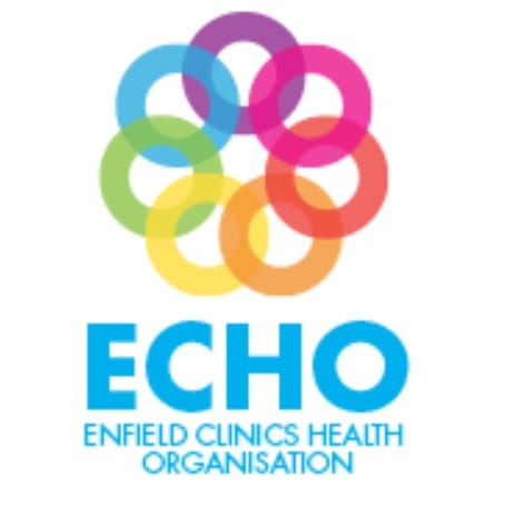 ECHO. logo
